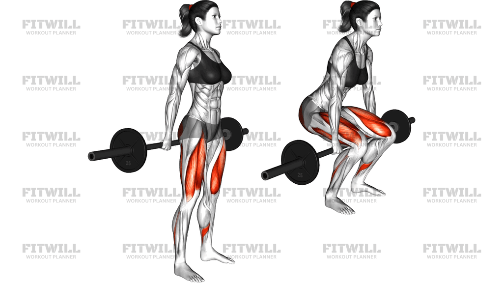 Barbell Hack Squat