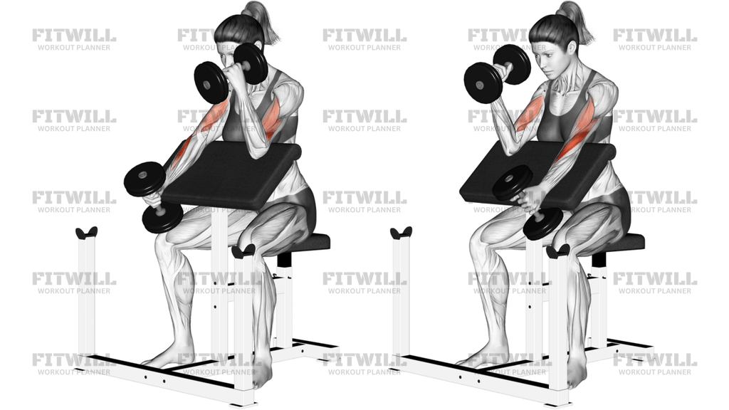 Dumbbell Alternate Hammer Preacher Curl