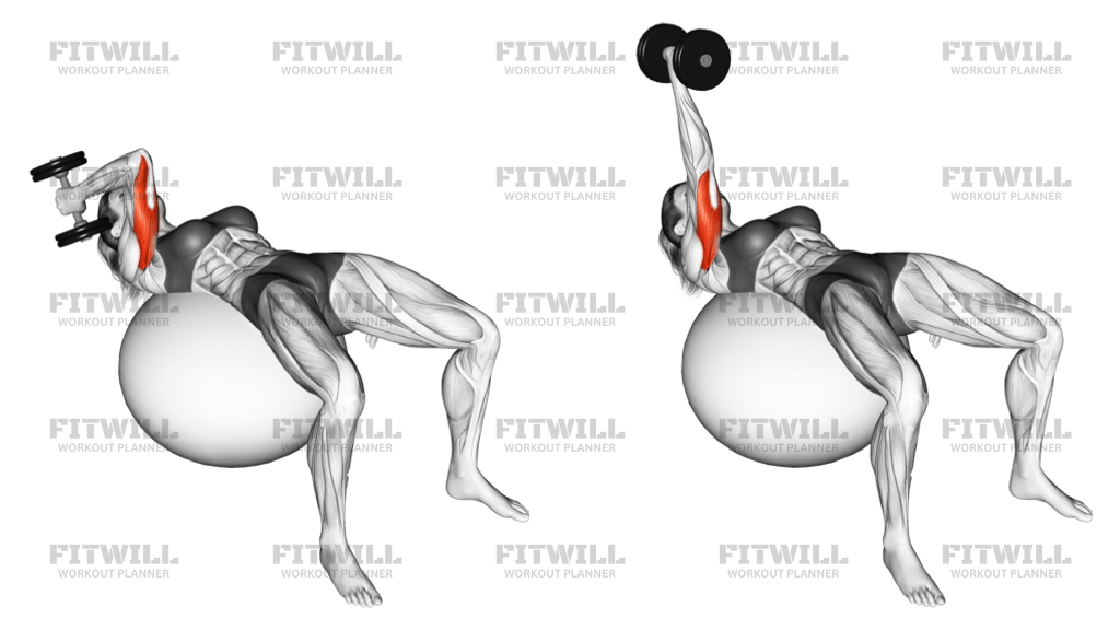 How to do Dumbbell One Arm French Press on Exercise Ball Techniques