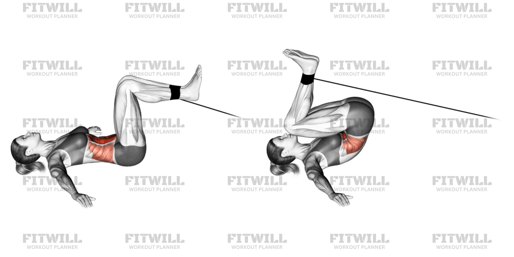 Cable Reverse Crunch Exercise Guide Techniques Benefits How to Muscles Worked Tips Tricks Fitwill