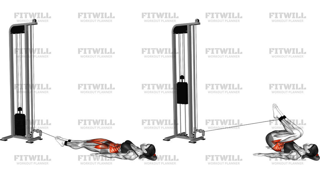 Cable Reverse Crunch
