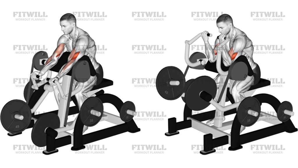 Lever Preacher Curl Plate Loaded