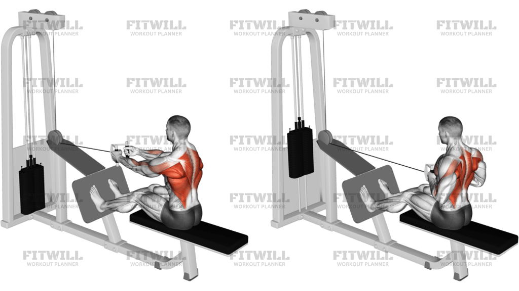 Cable Seated Row With V-Bar