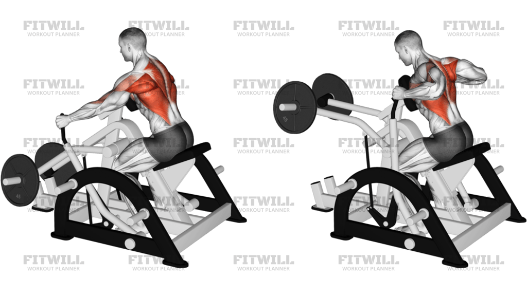 Lever Seated Row