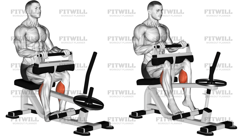 Lever Seated Calf Raise