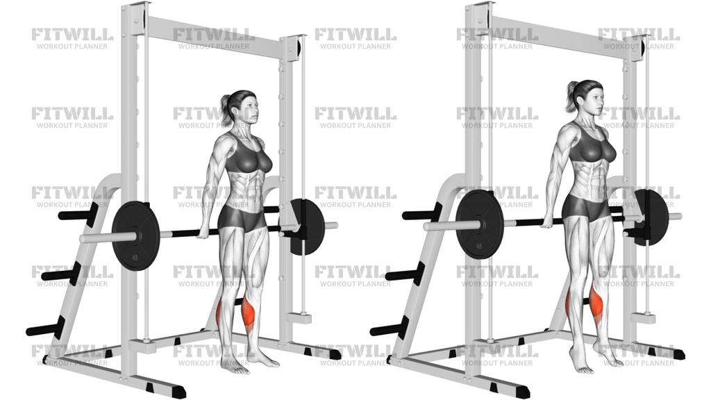 Smith Reverse Calf Raises
