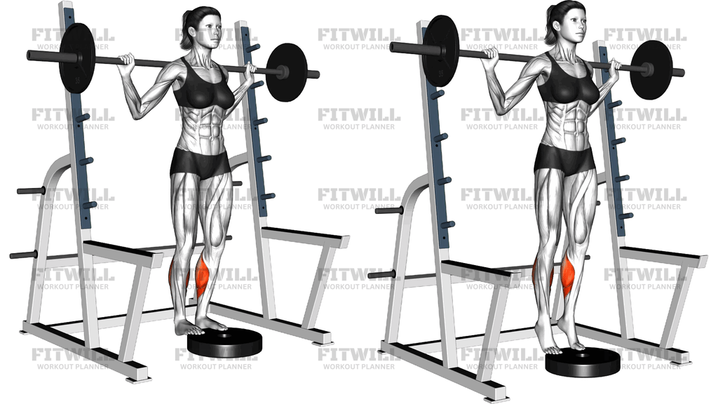 Barbell Standing Calf Raise
