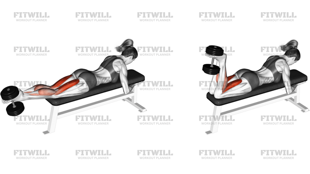 Dumbbell Lying Femoral