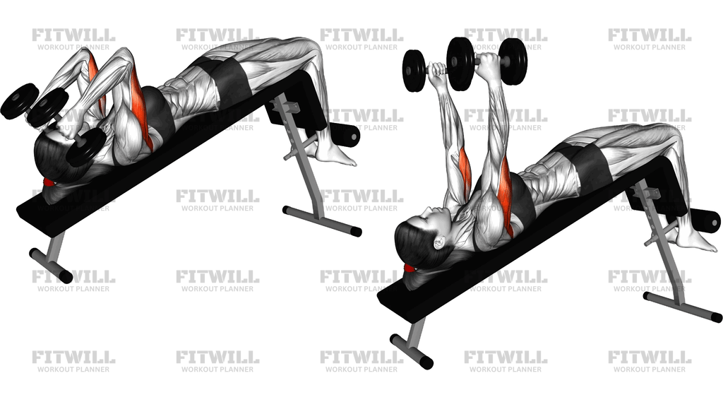 Dumbbell Decline Triceps Extension