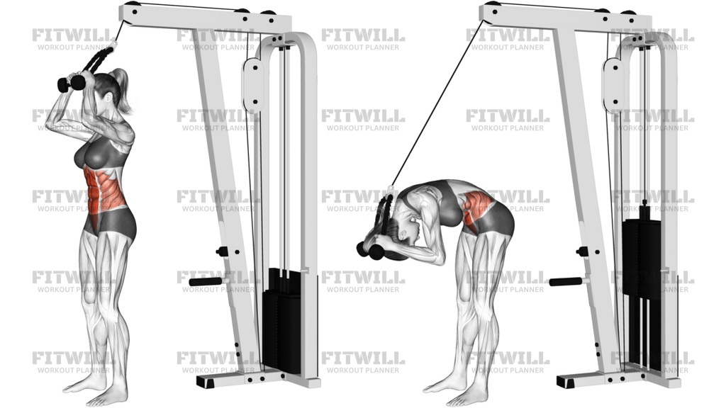 Cable Standing Crunch With Rope Attachment