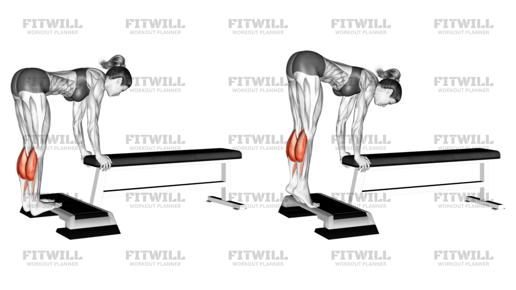 Donkey Calf Raise: Exercise Guide, Video, Techniques, Benefits, How to ...
