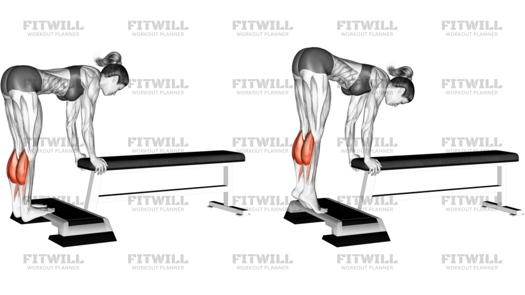 Donkey Calf Raise