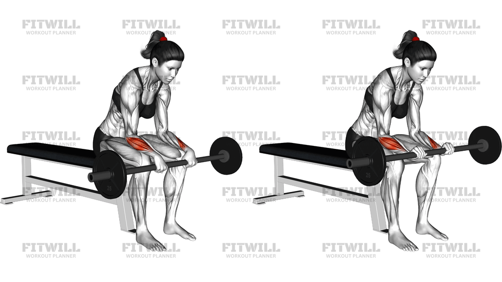 Barbell Reverse Wrist Curl Version 2