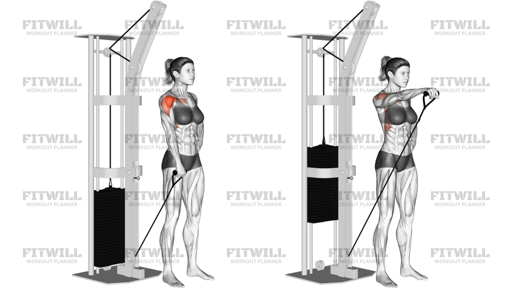 Cable One-Arm Front Raise