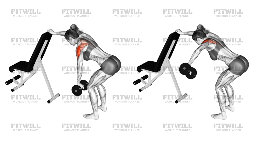 Dumbbell one arm reverse fly with support exercise guide techniques