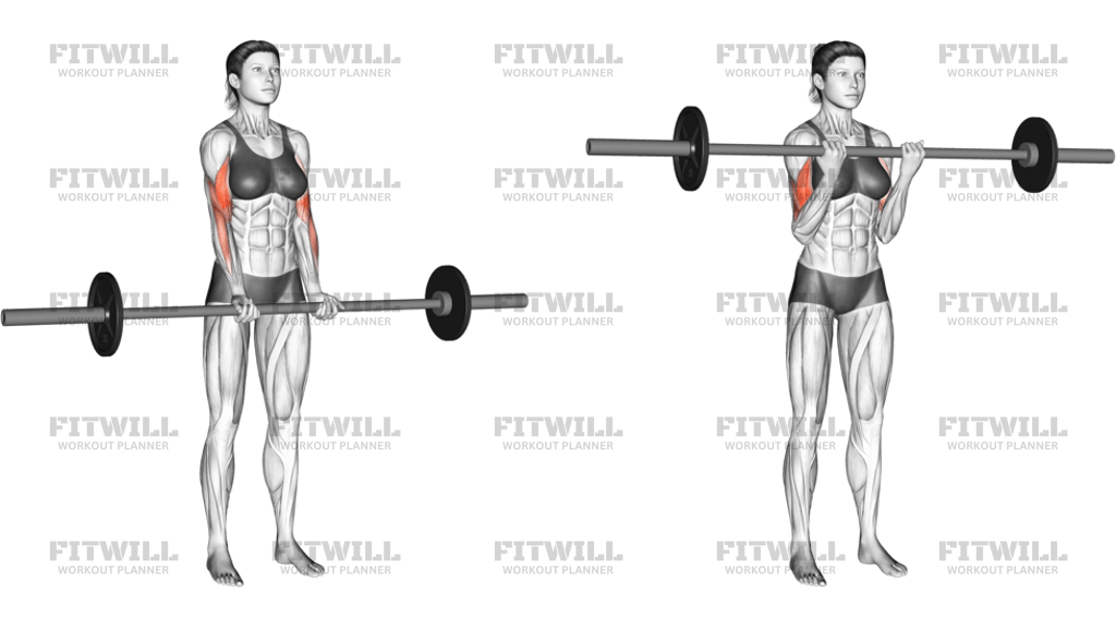 Barbell Standing Close-Grip Curl