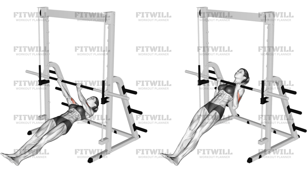 Brachialis Narrow Pull-Ups