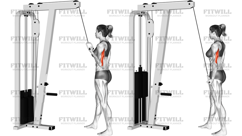 Cable Standing One-Arm Triceps Extension