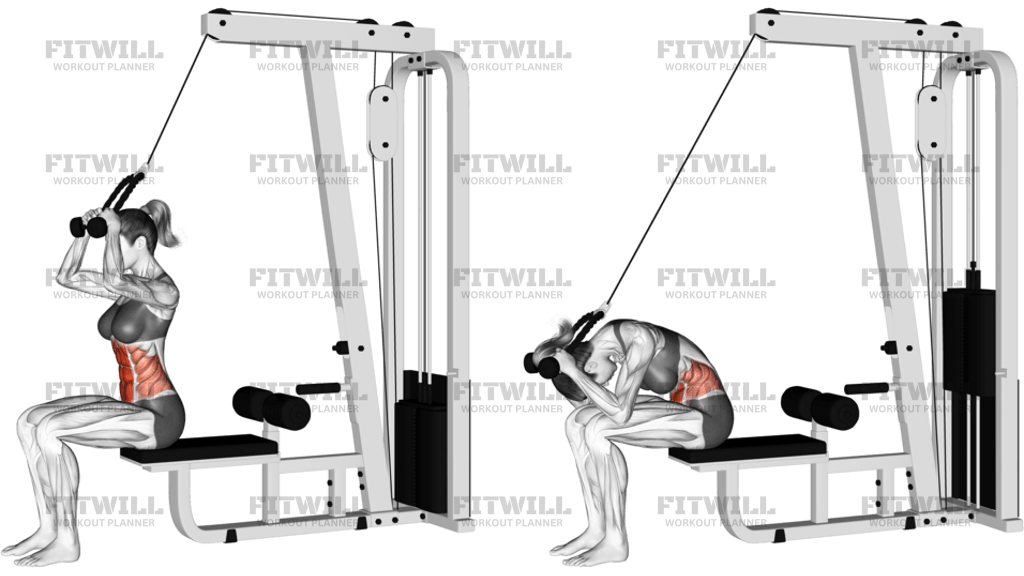 Cable Seated Crunch