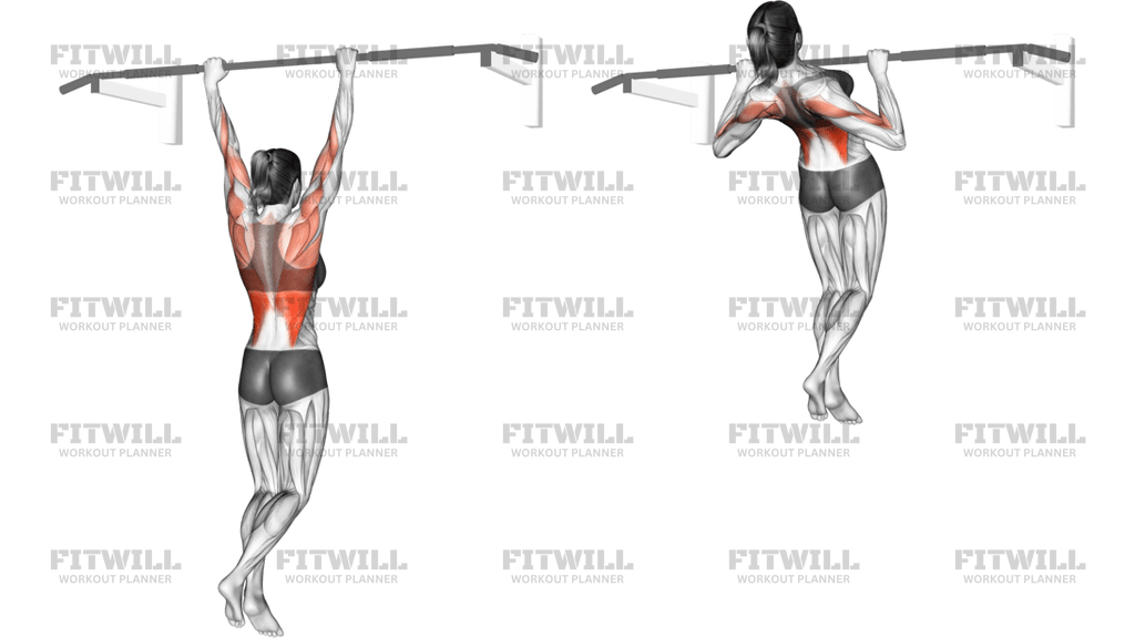 Rocky Pull-Up Pulldown
