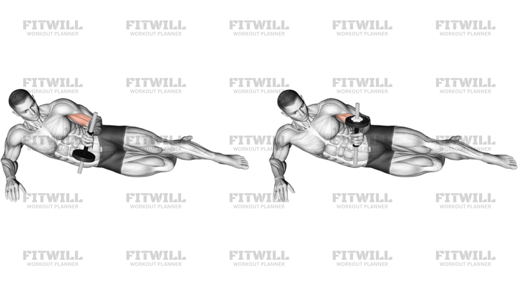 Dumbbell Lying Supination On Floor