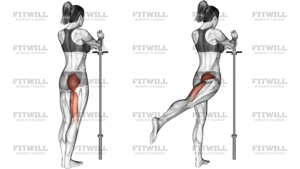 Standing Hip Extension Straight Leg