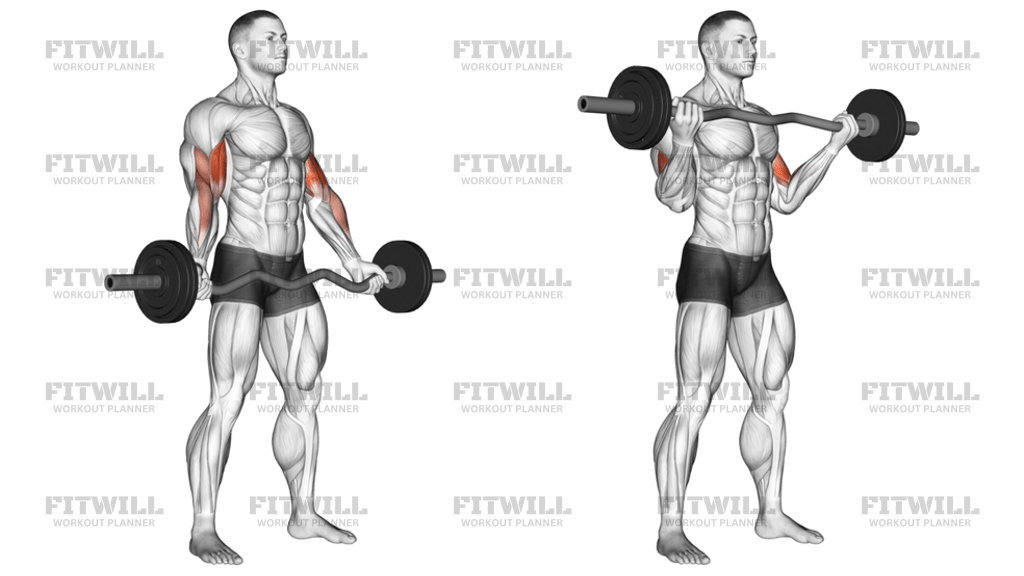 EZ-Barbell Standing Wide-Grip Biceps Curl