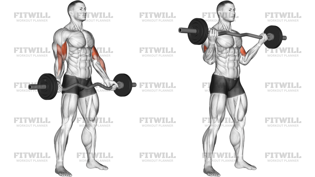 EZ-Barbell Standing Wide-Grip Biceps Curl