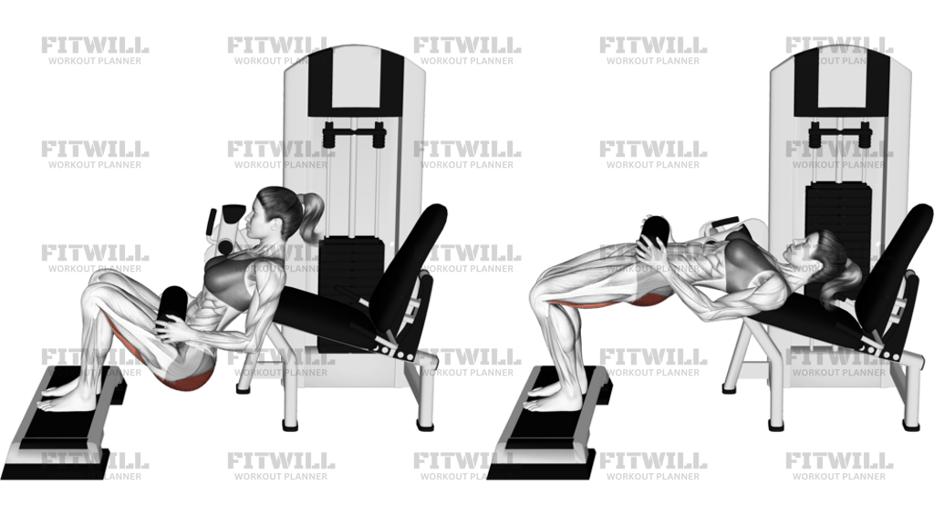 Lever Hip Thrust With Stepbox Version 2