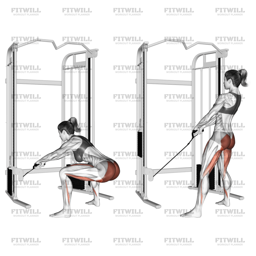 Cable Standing Hip Thrust Exercise Guide Video Techniques Benefits How to Muscles Worked Tips Tricks Fitwill