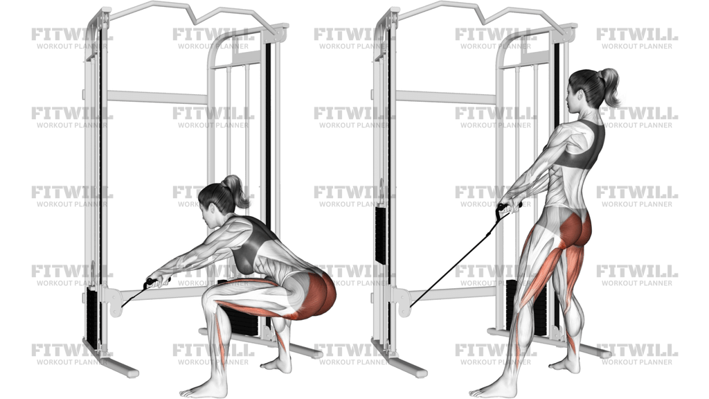 Cable Standing Hip Thrust