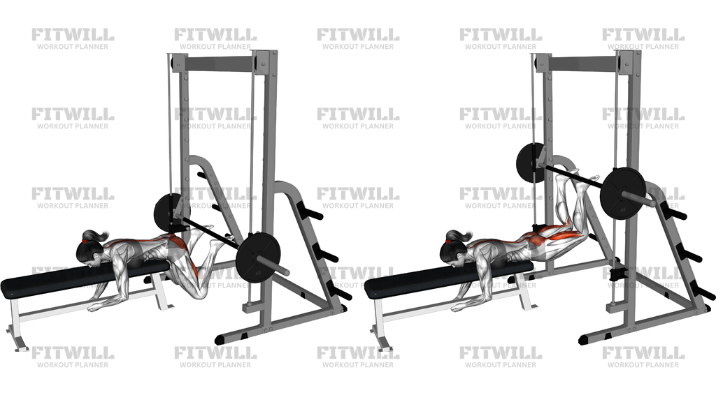 Smith Reverse Hyperextension