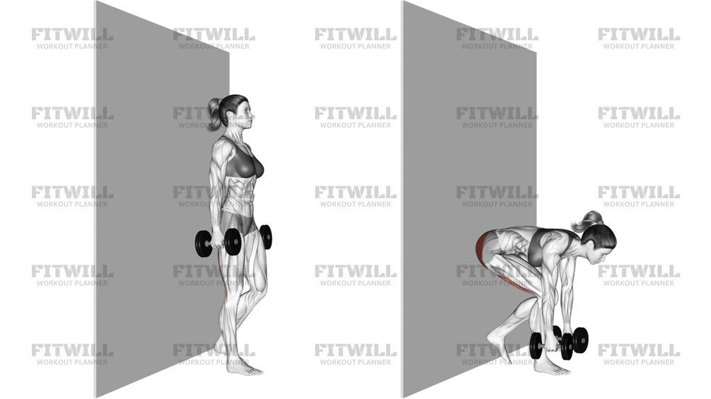 Dumbbell Single Leg Deadlift With Wall Support