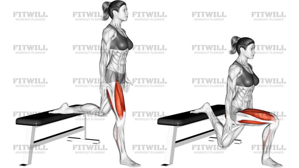Split Squat