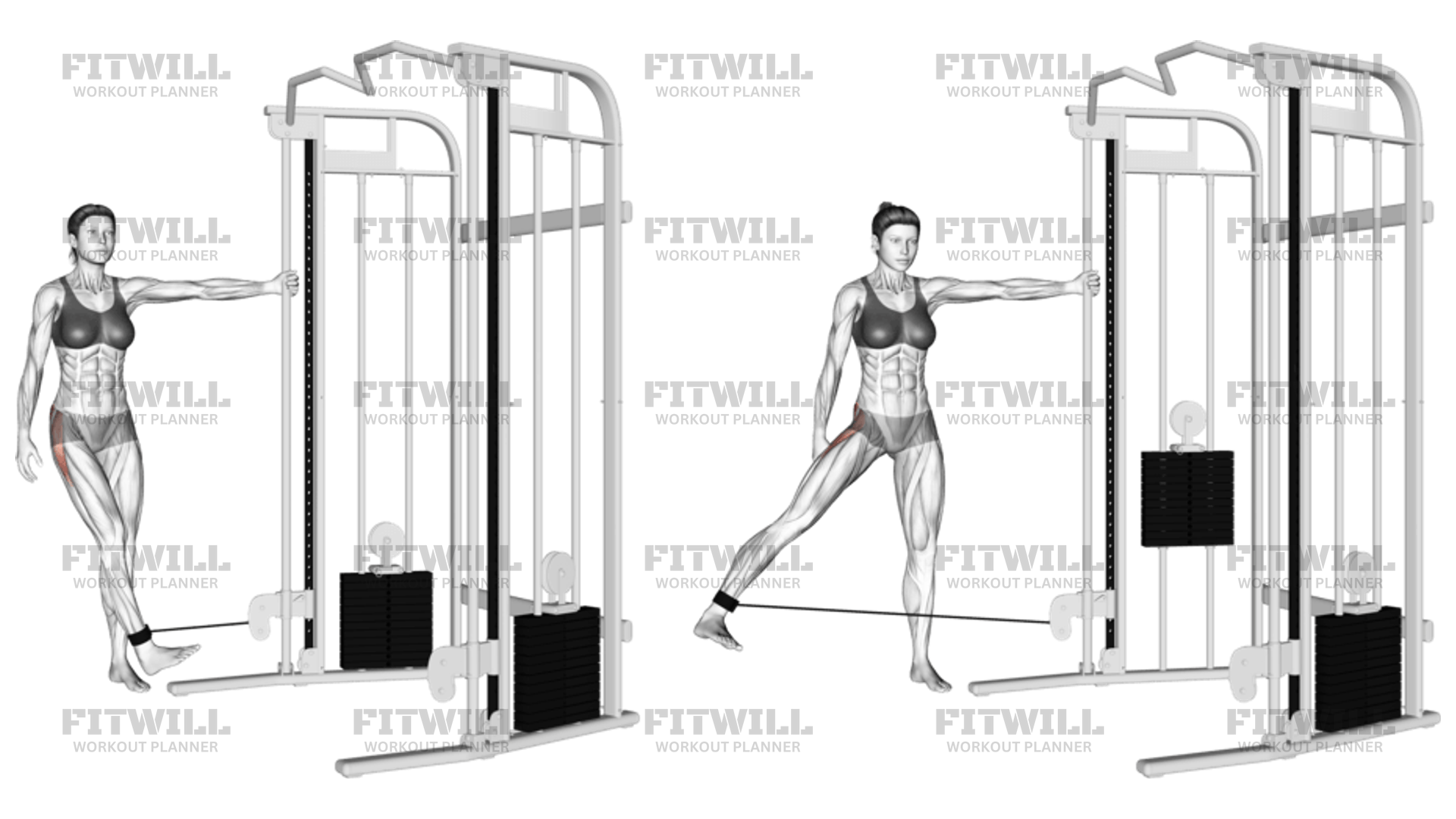 Cable Hip Abduction toe In Exercise Guide Techniques Benefits How to Muscles Worked Tips Tricks Fitwill