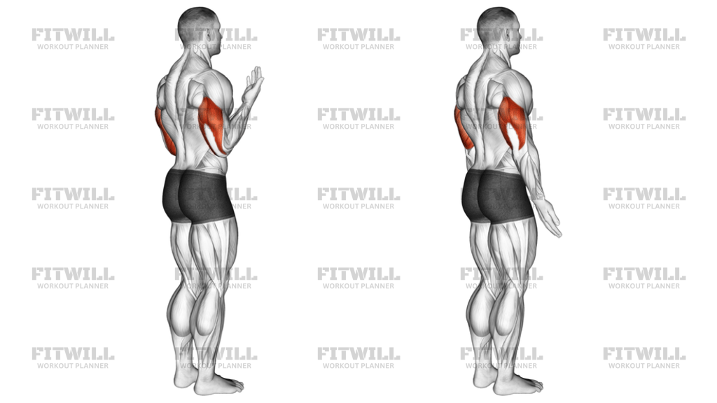 Articulaciones De Extensión De Codo: Guía de Ejercicios, Video ...