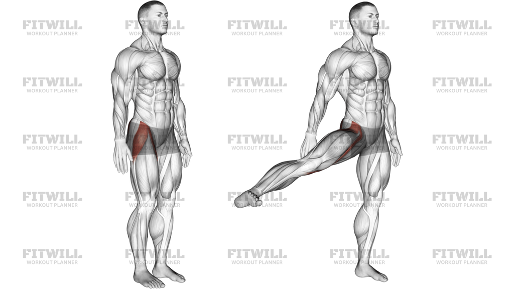 Hip Abduction Articulations