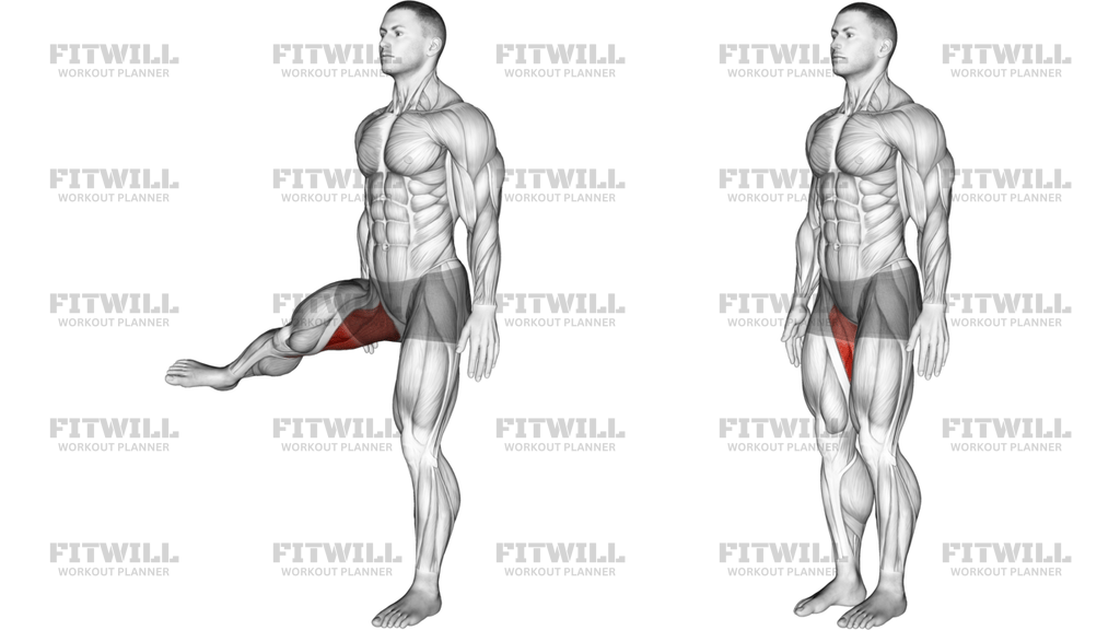Hip Adduction Articulations