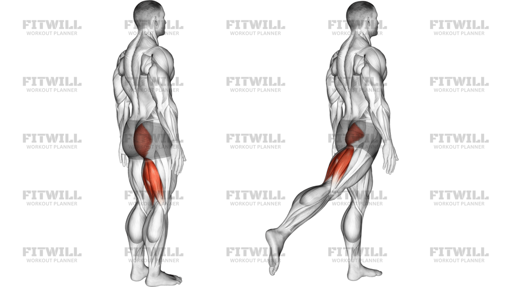 Hip Extension Articulations