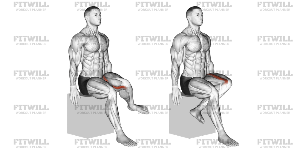 Hip - Lateral Rotation (External Rotation) - Articulations: Exercise ...