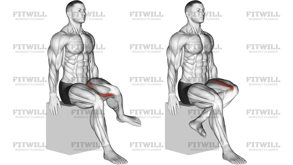 Hip Lateral Rotation External Rotation Articulations