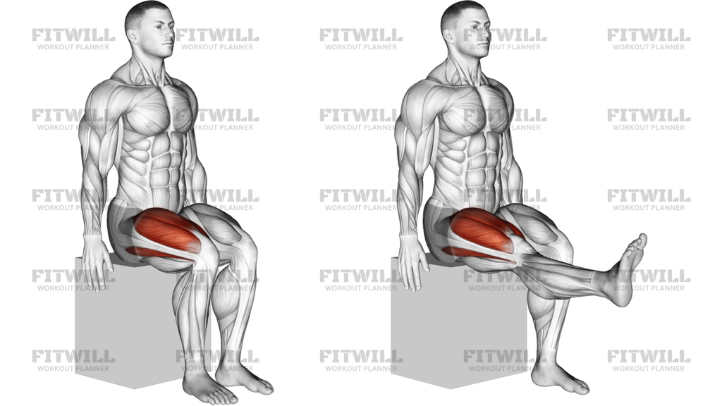 Knee Extension Articulations