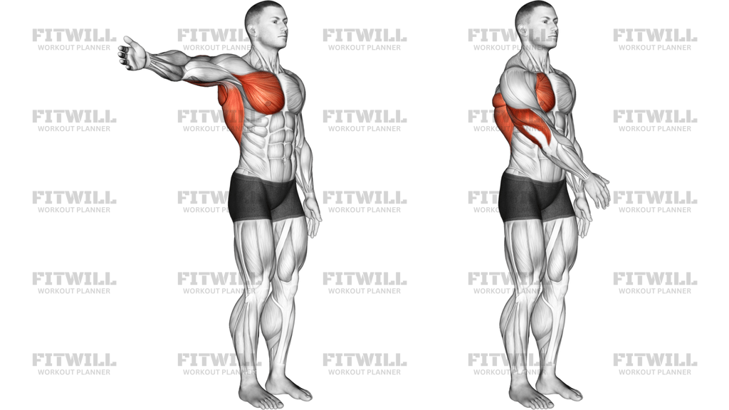 Shoulder Adduction Articulations