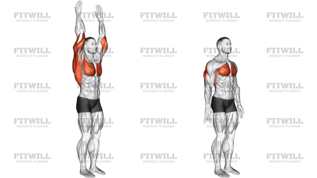 Shoulder Extension Articulations