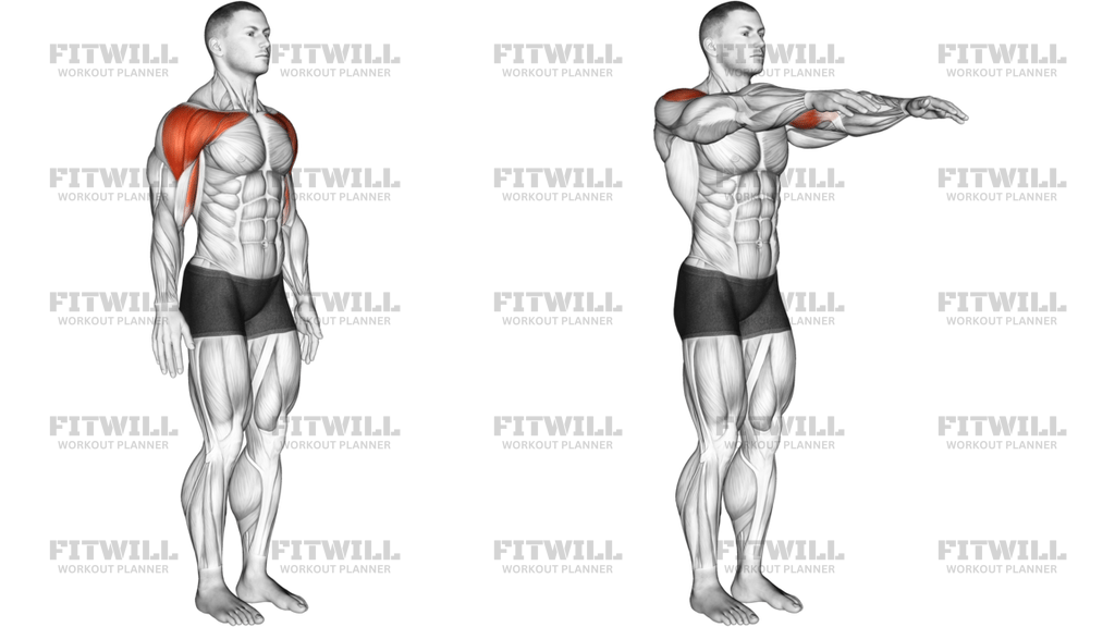 Shoulder Flexion Articulations