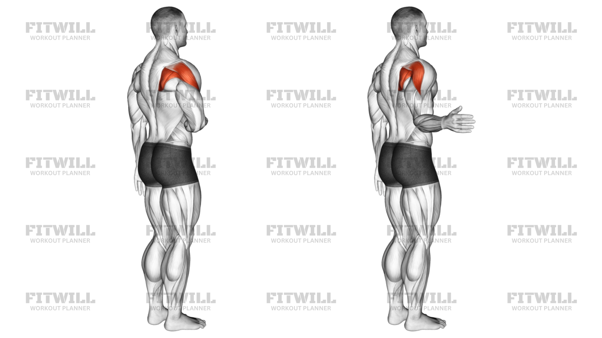 What Is Lateral Rotation Of The Arm