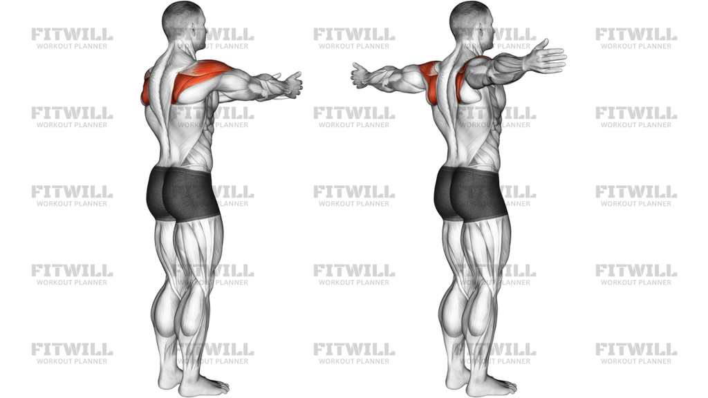 Shoulder Transverse Abduction Articulations