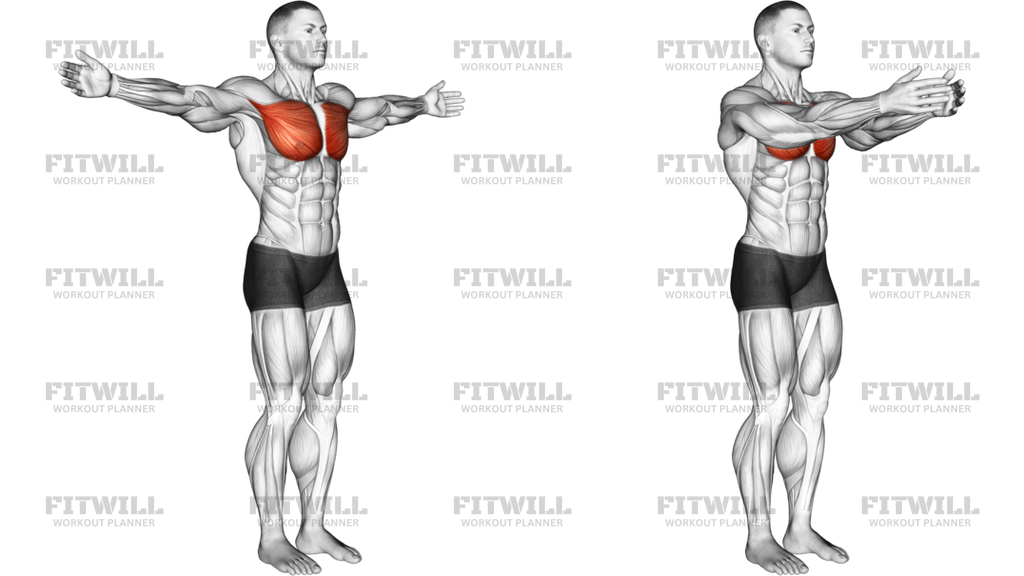 Shoulder Transverse Adduction Articulations
