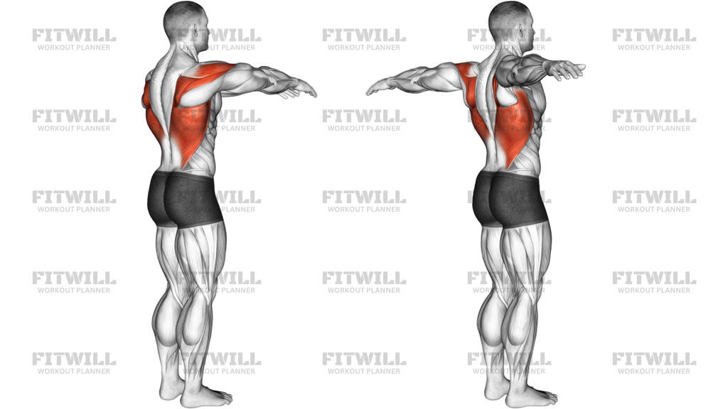 Shoulder Transverse Extension Articulations