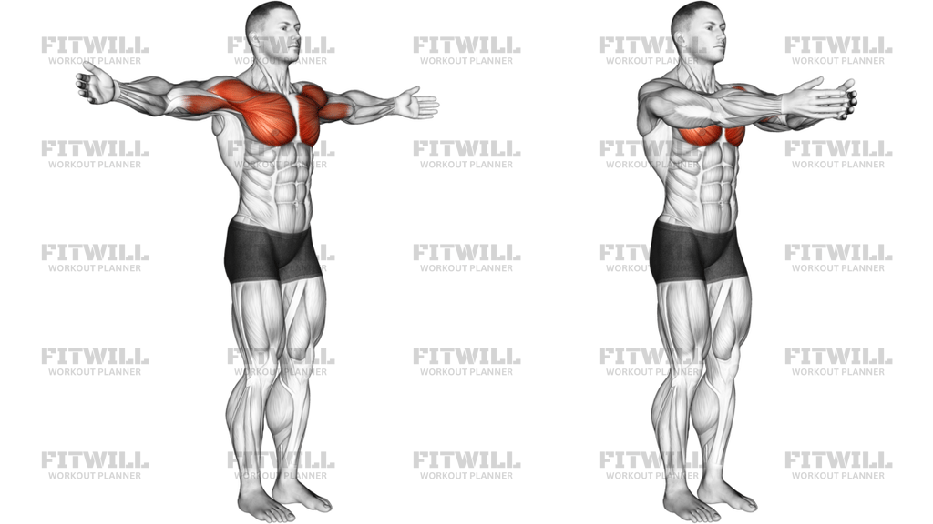 Shoulder Transverse Flexion Articulations